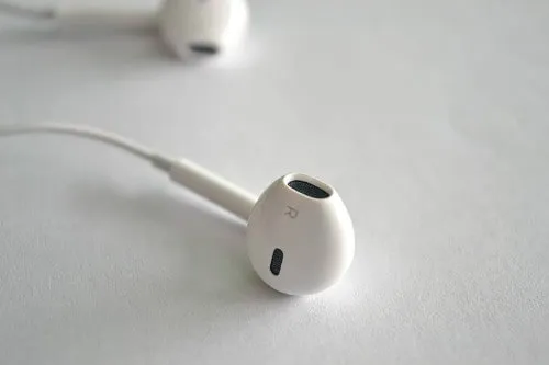 Apple Earphones