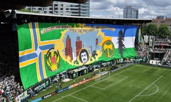 Timbers