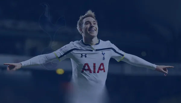 eriksen tint