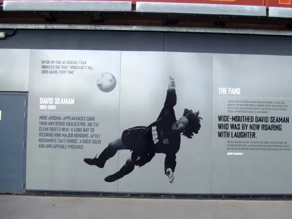 david-seaman