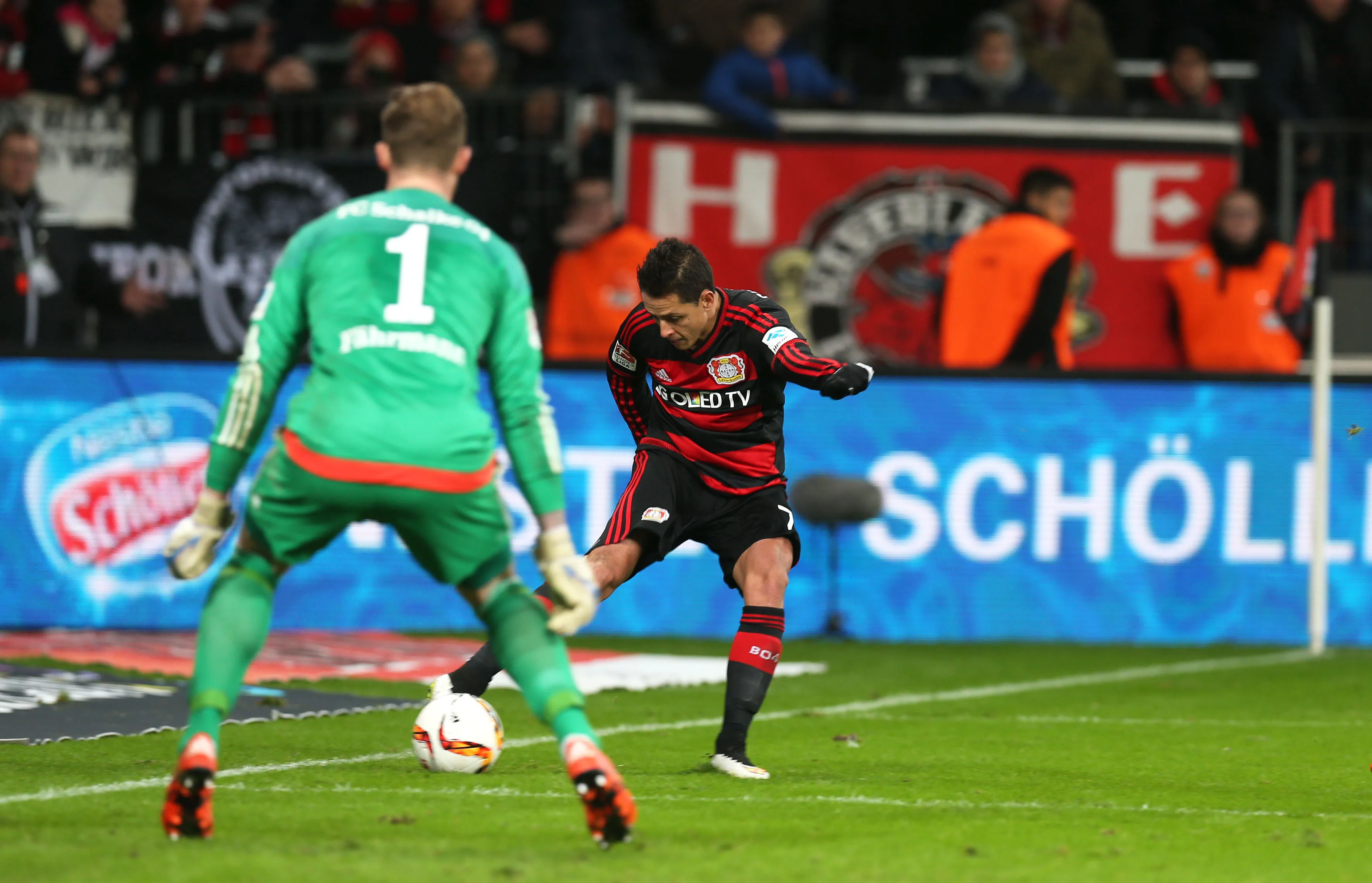 javier-hernandez-bayer-leverkusen