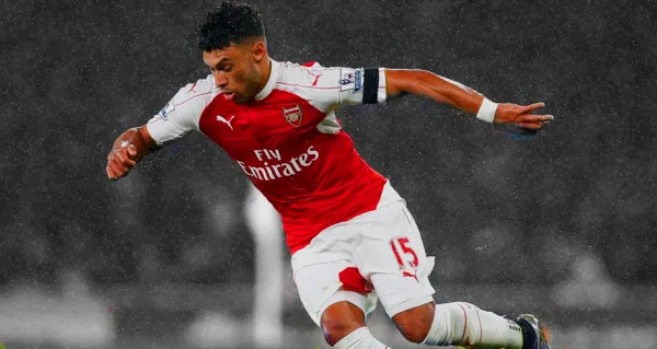 ox