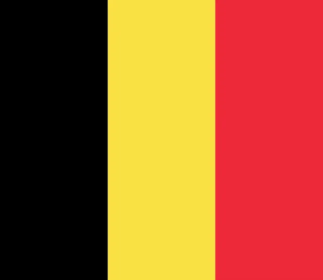 Belgium: Euro 2016 team preview
