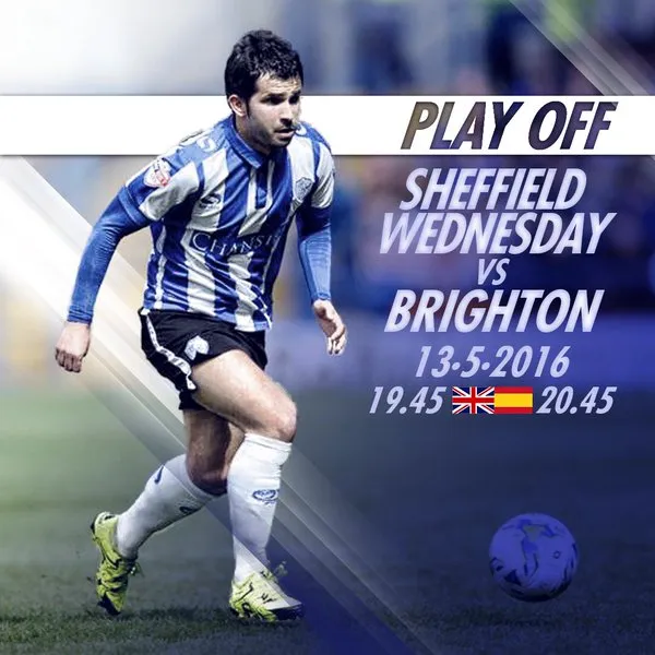 sheffield-wednesday-brighton