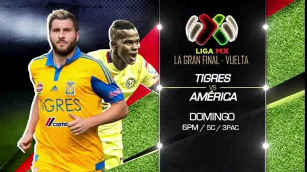 tigres-america
