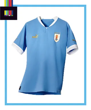 Uruguay Home Kit
