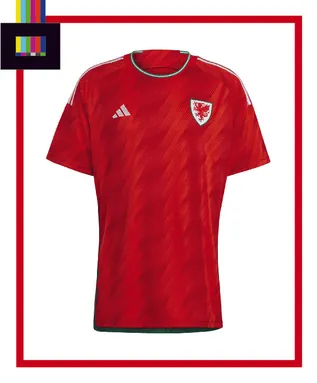 Wales Home Kit
