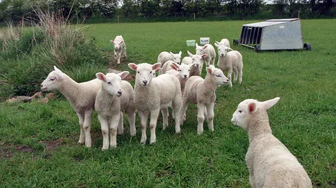 Bayern Munich vs Arsenal, Round of 16 2nd Leg UEFA Champions League: Open Thread