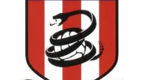 The Future of This Website