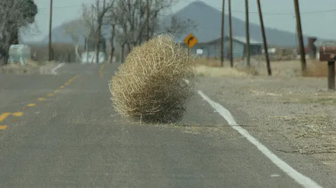 What the International Break Feels Like ...