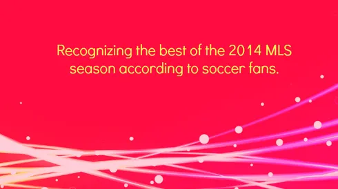 Winners of 2014 MLS Talk Awards Announced