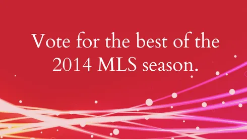 Vote for the Best of the 2014 MLS Season in Readers' Choice Awards