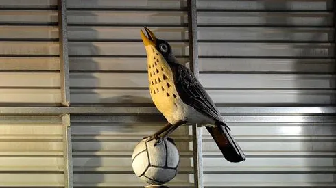 West Bromwich chairman sets deadline to investors interested in buying club