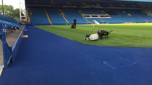 Sheffield Wednesday supporters feeling optimistic