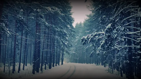 Manchester United's winter forecast