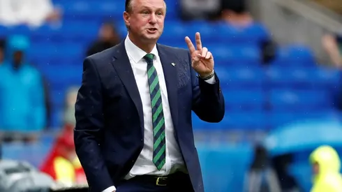 Resurgent N.Ireland delight O'Neill