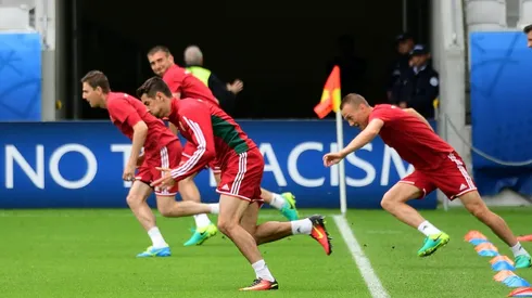 Hungary relish Euro feast after decades of famine