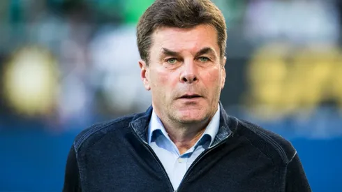 Wolfsburg sack Hecking: reports