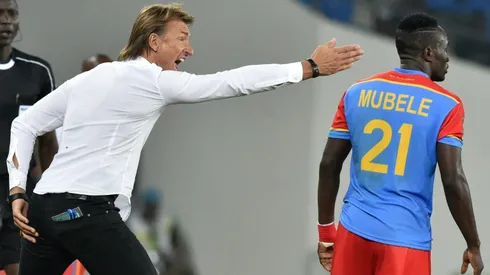 Le Roy, Renard loom large over key Africa Cup of Nations clash