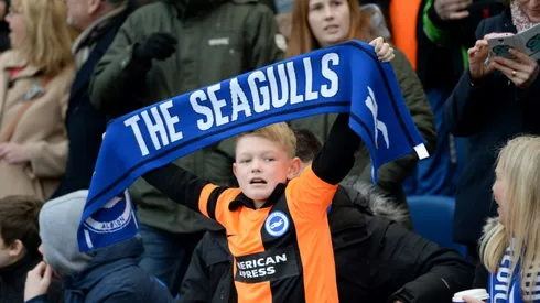 Promoted Brighton back among England's elite