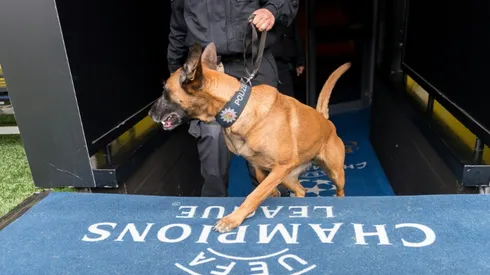 Germany detains 'Islamist', probes terror link to Dortmund blasts