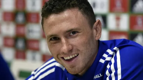 Northern Ireland's Evans apologises for wife's ref rant