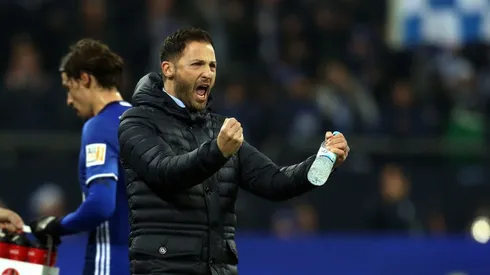 Schalke' Tedesco heads crop of young Bundesliga coaches