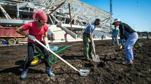 Russian World Cup stadium finally gets its grass