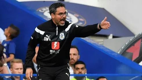 Wagner rewarded with new deal after Huddersfield survival