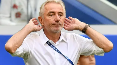 Only win over Peru now matters for Australia's Van Marwijk