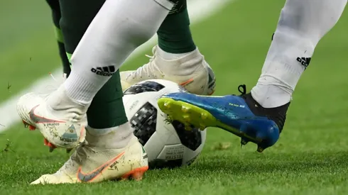 Mystic moggy: China mourns 'psychic' World Cup cat