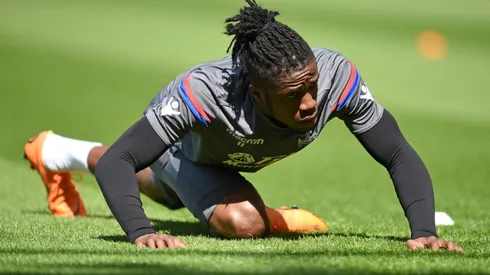 Hodgson warns Harry the Hornet to behave after Zaha diving row