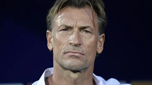 Saudi Arabia appoint Renard as coach