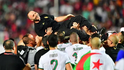 Disciplinarian Belmadi restores Algeria to Africa's summit