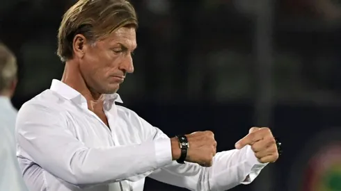 Algeria best team at Cup of Nations, says Morocco's Renard