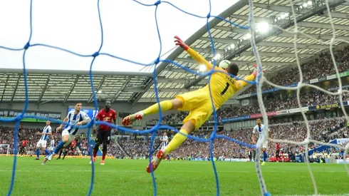 Australian goalkeeper Ryan pledges cash for bushfire wildlife