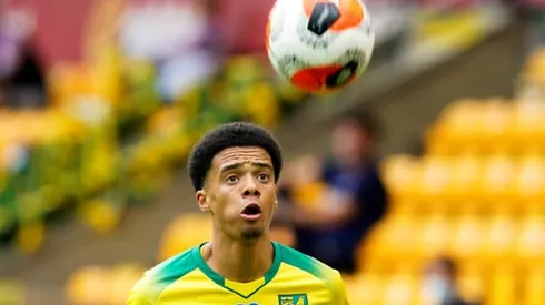 Newcastle sign Lewis from Norwich