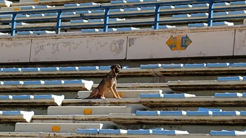 'Call this a pitch?!' — Lebanon stadiums in sorry state