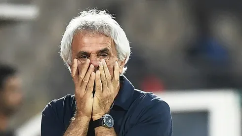 Halilhodzic rules out Morocco World Cup recall for Ziyech and Mazraoui