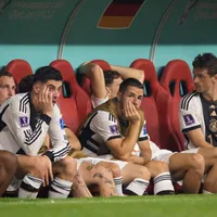 Germans blame WAGs for World Cup failure