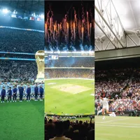 What are the most popular sports in the world?