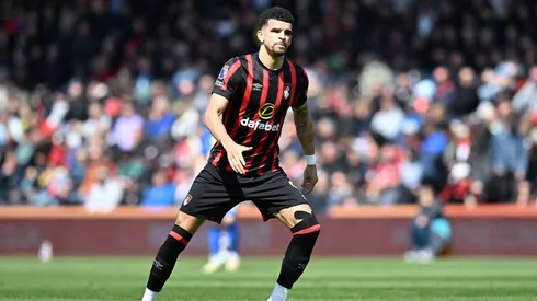 Spurs finally fill Kane void with Bournemouth's Solanke