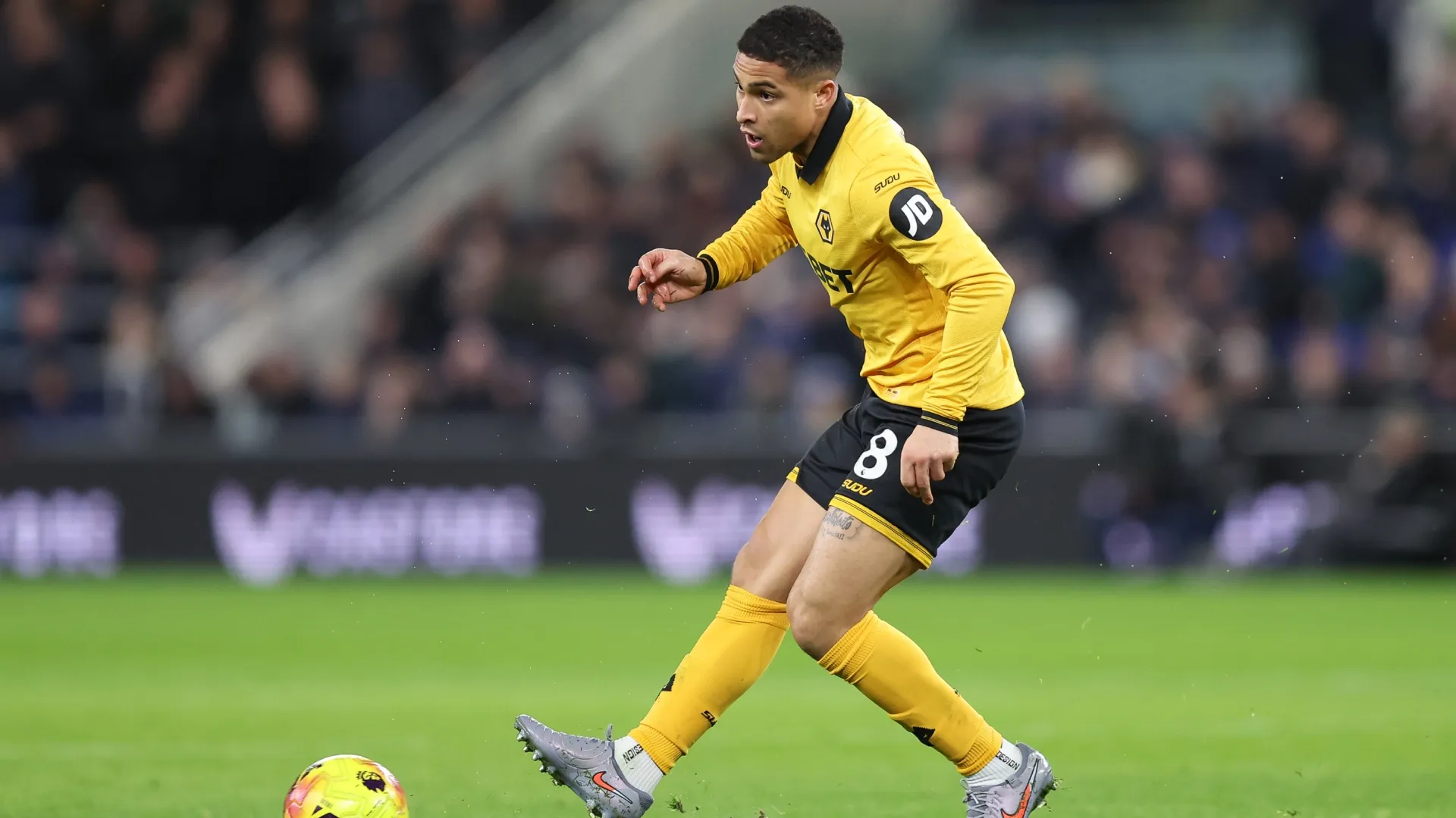 Joao Gomes playing for Wolverhampton.