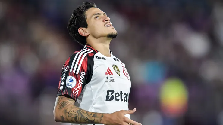 Pedro of Flamengo
