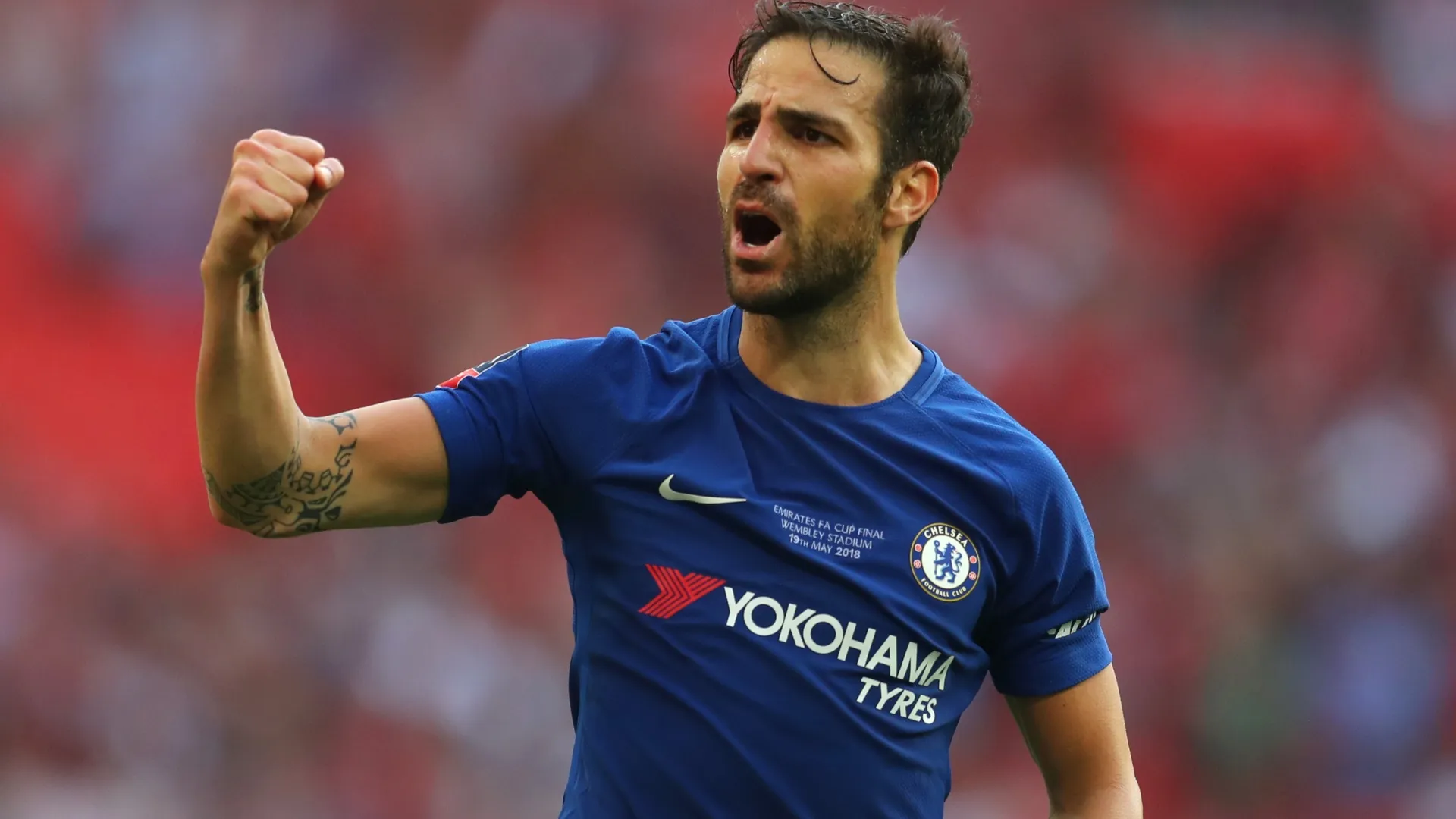 Fábregas played for Chelsea from 2014 to 2019 (Catherine Ivill/Getty Images)