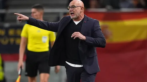 De la Fuente led Spain to a title