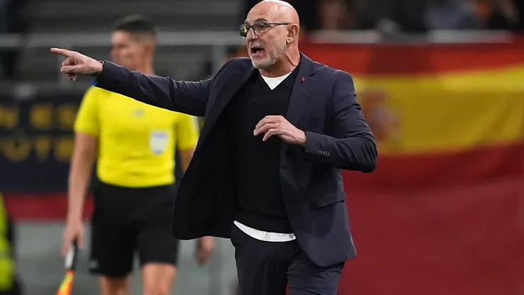 De la Fuente led Spain to a title