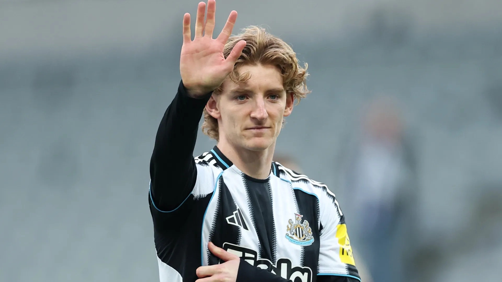 Gordon shined for Newcastle from the first match (Stu Forster/Getty Images)