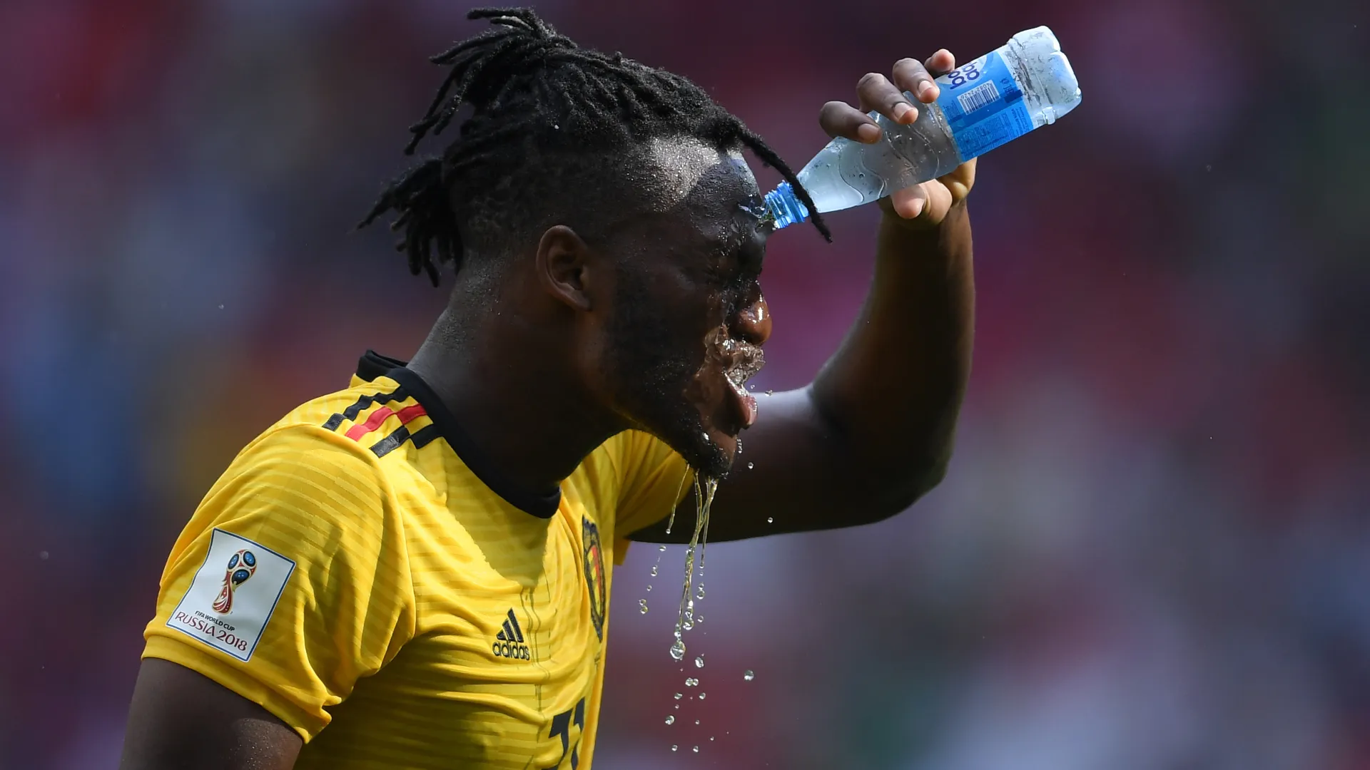 fifa water bottle