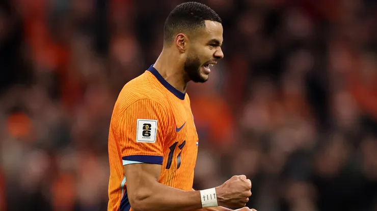 Cody Gakpo of the Netherlands